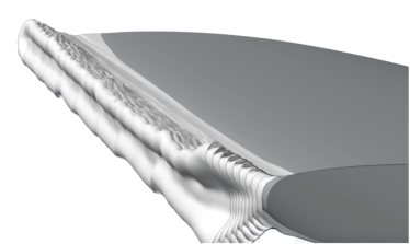 Ansys FENSAP-ICE.png